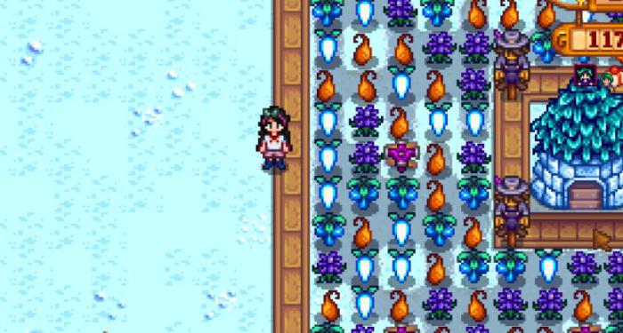 星露谷物语高级任务怎么完成_星露谷物语汉化