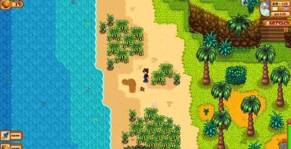 星露谷物语姜岛怎么去西边1