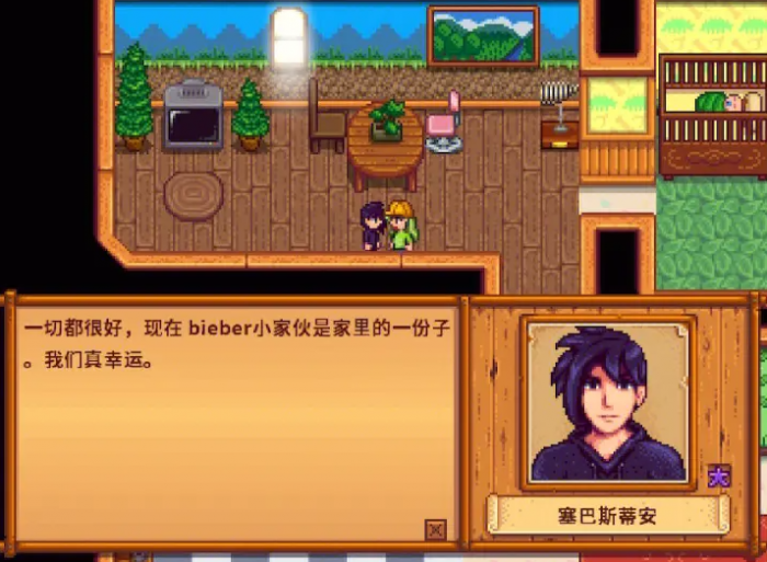 星露谷物语塞巴斯蒂安在哪里1