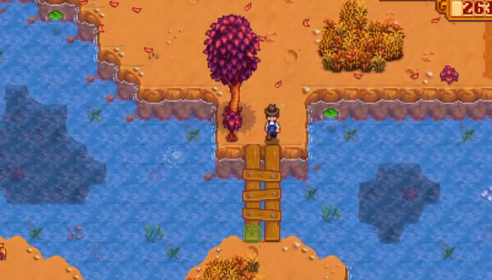 星露谷物语海莉沙滩事件怎么选1