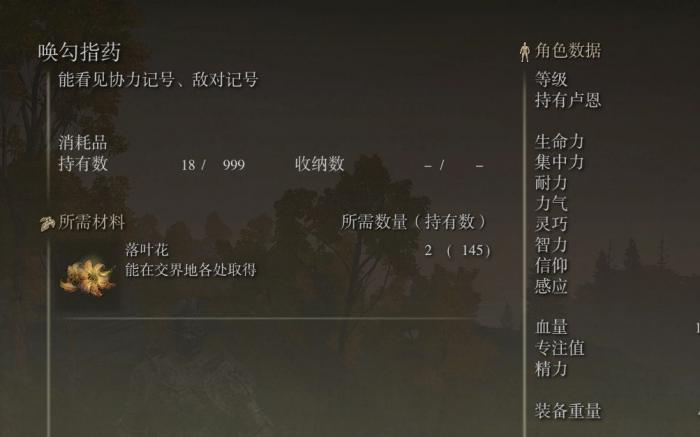 艾尔登法环道具描述在哪看_《艾尔登法环》