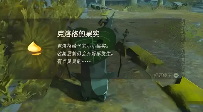 王国之泪克洛洛果实有哪些解法3