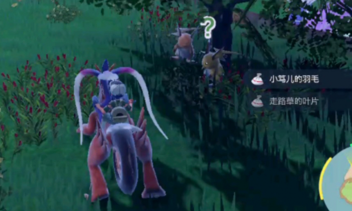 宝可梦朱紫怎么刷闪2