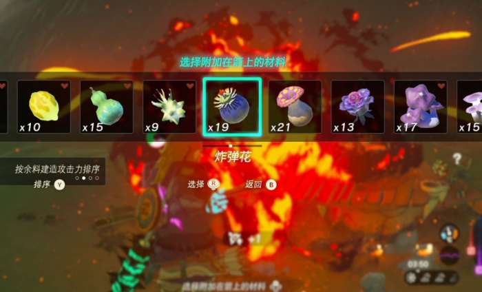 王国之泪炸弹花哪里多_王国之刃