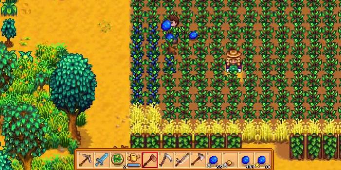 星露谷物语夏天种什么赚钱1