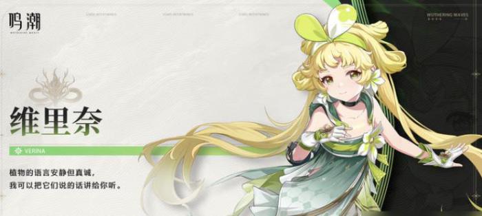 鸣潮维里奈该怎么练_鸣潮维里奈技能怎么加点