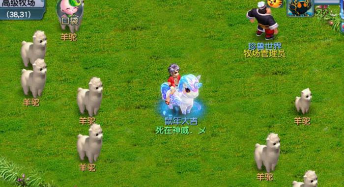 梦幻西游怎么养羊驼_梦幻西游养羊驼攻略
