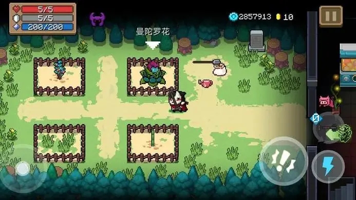 元气骑士花圃种什么3