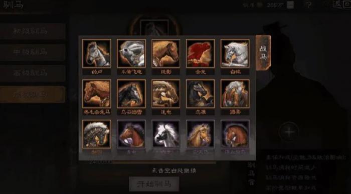 三国志战略版好马有什么用_三国志战略版哪里买号
