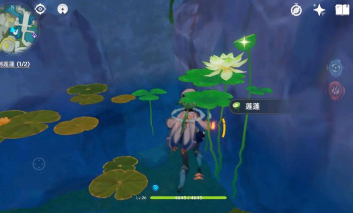 原神什么地方有莲蓬2