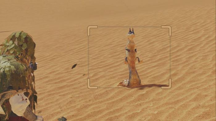 怪物猎人荒野环境调查生物有哪些_怪物猎人环境生物任务