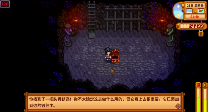 星露谷物语深山北部矿井有什么2