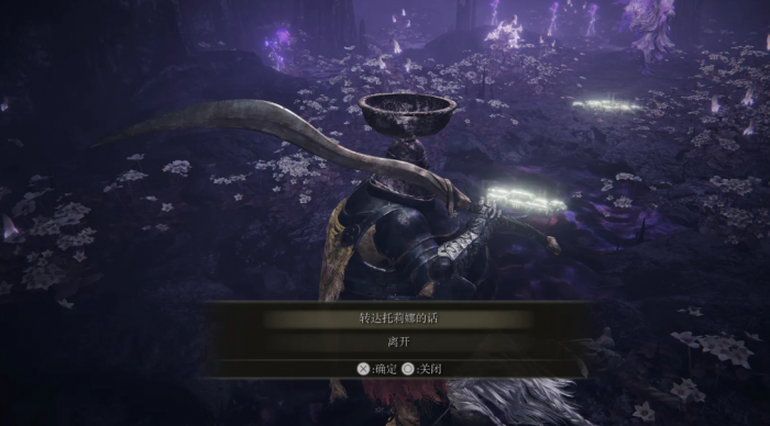 艾尔登法环托莉娜和丹恩支线怎么做2