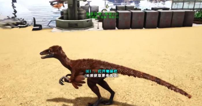 方舟生存进化伤齿龙怎么驯服_方舟生存进化伤齿龙怎么打