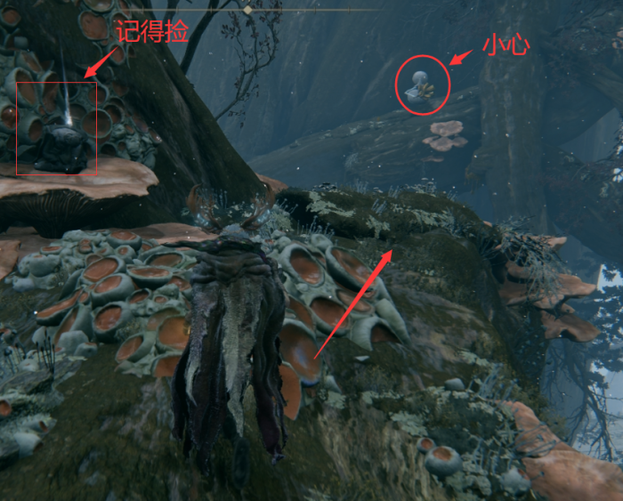 艾尔登法环圣树镇该怎么去2