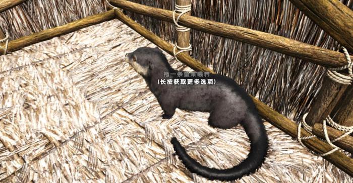 方舟生存进化水獭怎么驯服_方舟生存进化水獭代码