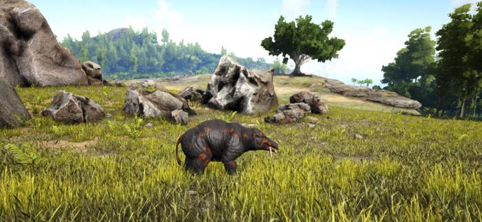 方舟生存进化渐新象怎么驯服_方舟生存进化渐新象加点