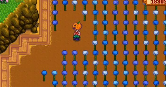 星露谷物语蓝爵有哪些特性2