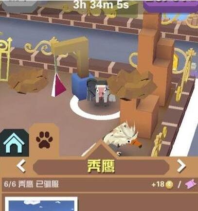 疯狂动物园怎么抓动物1