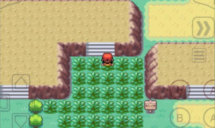 口袋妖怪火红浅红道馆怎么过去2