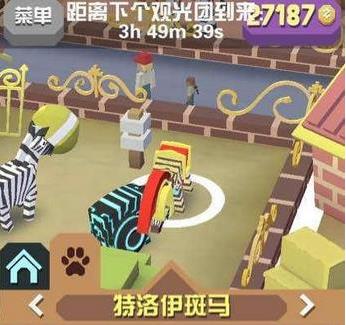 疯狂动物园的斑马怎么抓2