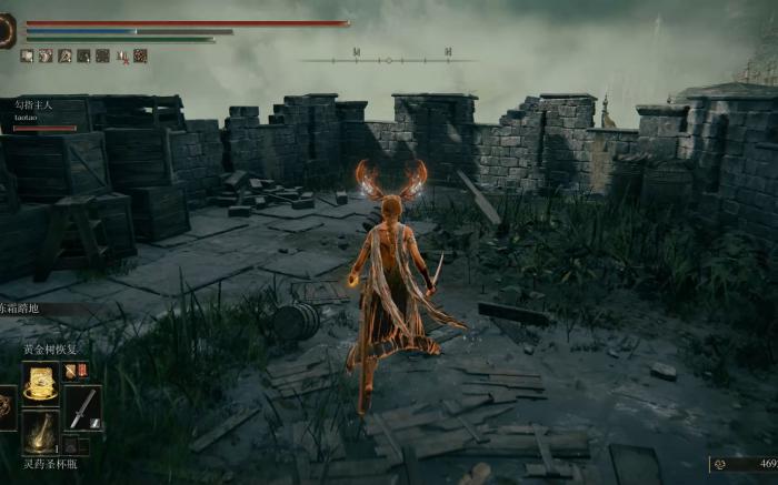 艾尔登法环史东薇尔城有什么道具_艾尔登法环史东薇尔城全收集