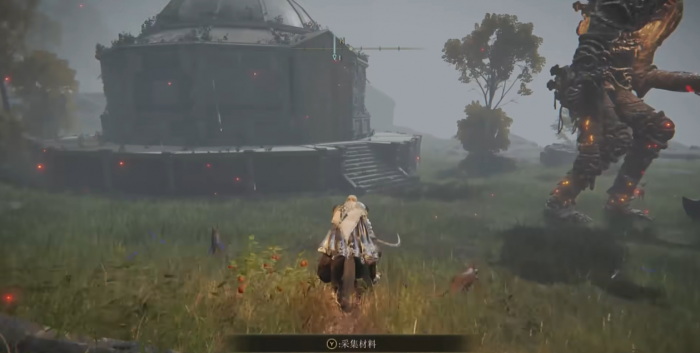 艾尔登法环大朵灵依墓地铃兰在哪3