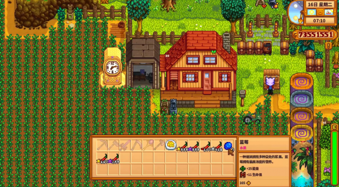 星露谷物语辣椒和蓝莓哪个更赚钱2