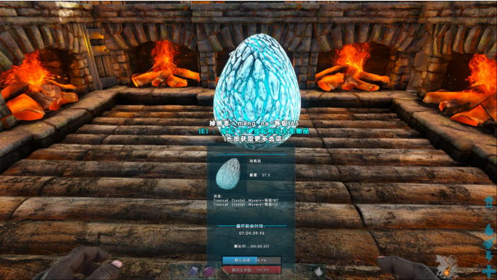 方舟生存进化龙蛋怎么孵化3
