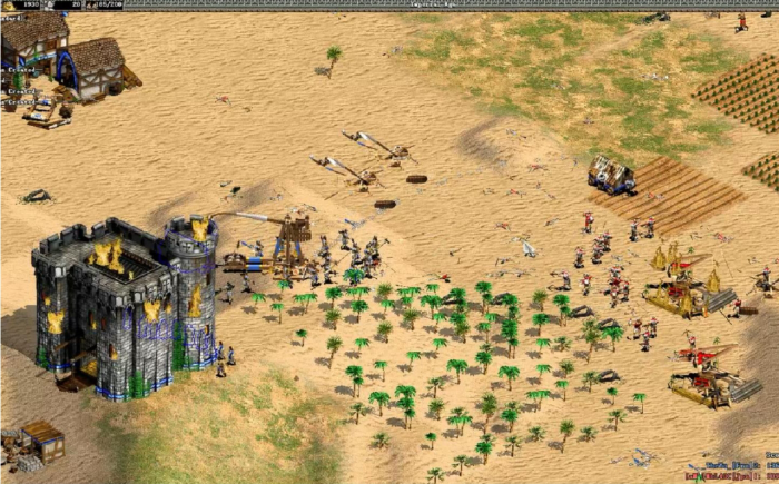 帝国时代2后期强的国家是什么2