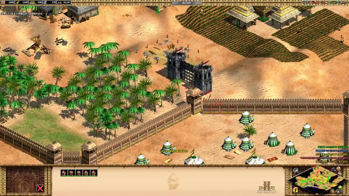 帝国时代2蒙古第一关圣物怎么获得2