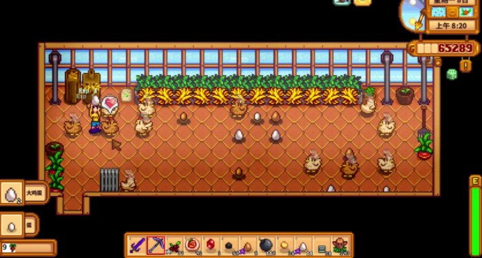 星露谷物语怎么养鸡2