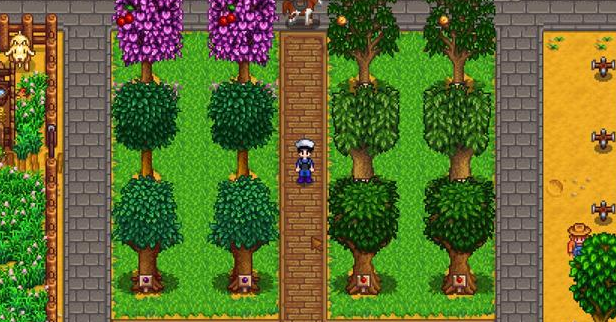 星露谷物语哪里有卖硬木的3