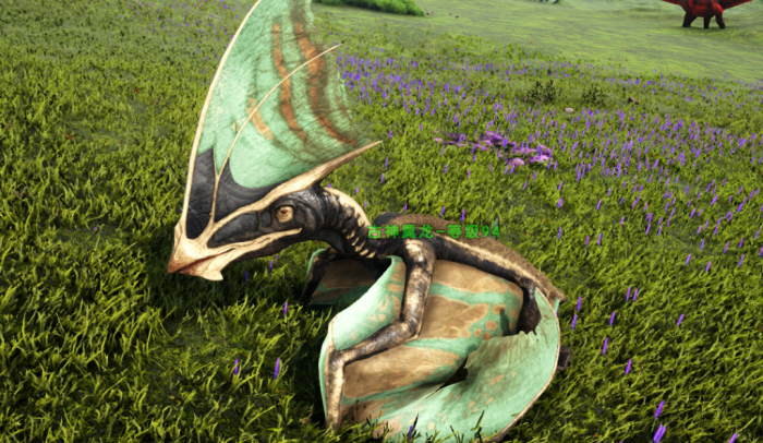 方舟生存进化翼龙怎么飞起来1