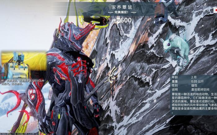 星际战甲怎么刷金星声望3