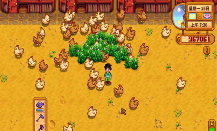 星露谷物语如何养鸡3