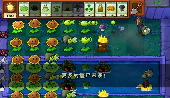 植物大战僵尸浓雾模式怎么过1