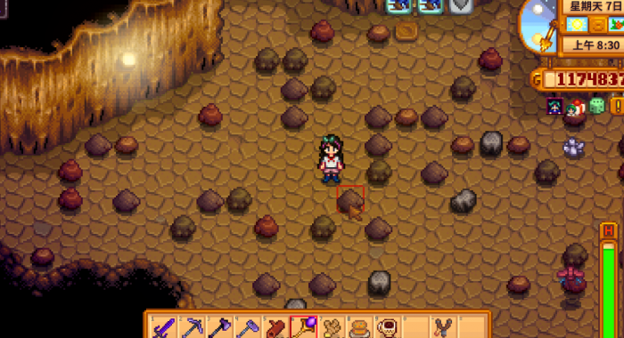 星露谷物语工具升级后的效果3