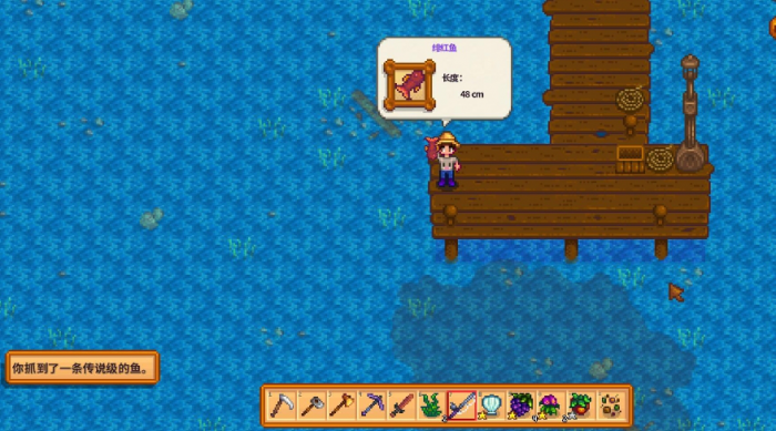 星露谷物语太阳鱼什么时候钓2