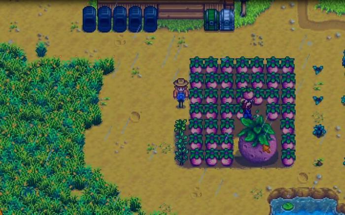 星露谷物语甜瓜怎么变大3