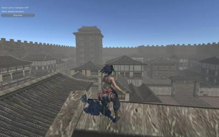 流星蝴蝶剑兴华国府怎么过2