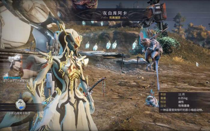 星际战甲小鸭子各级声望升级怎么做1