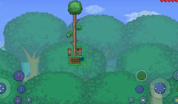 泰拉瑞亚痴愚金龙有什么技能1