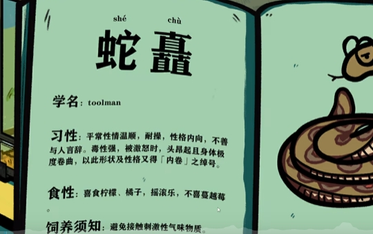 房间的秘密第三个房间怎么过2