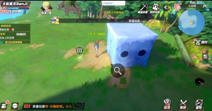 航海王热血航线小花园是什么1