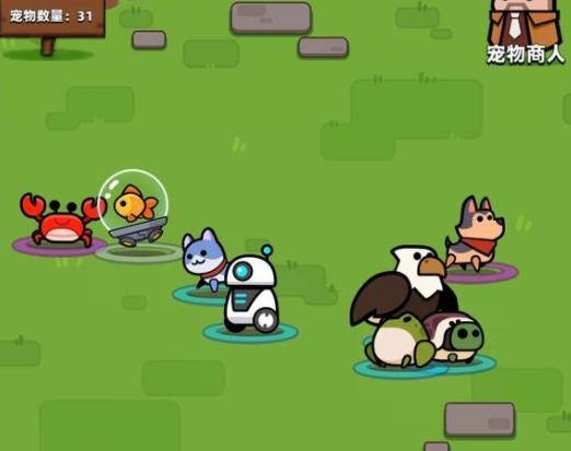 弹壳特攻队哪个宠物最好刷装备3