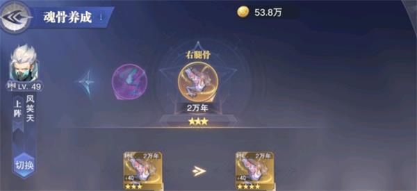 斗罗大陆魂骨到底有何作用1