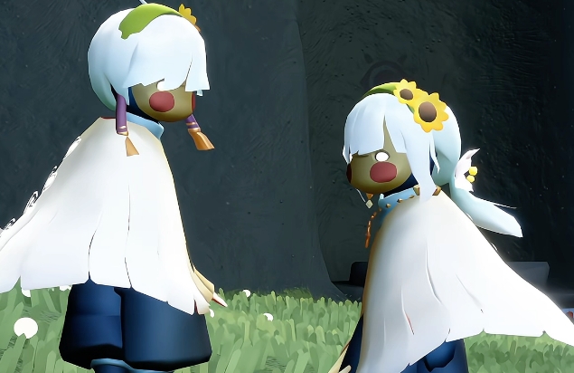 光遇怎么做双人任务1