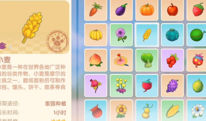 摩尔庄园罕见矿石怎么得2