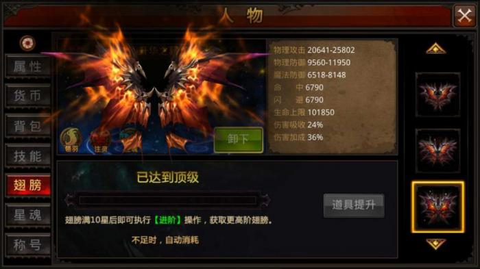 全民奇迹宠物怎么搭配3